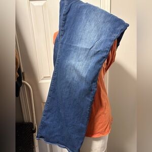 American Eagle Jeans Size 20S